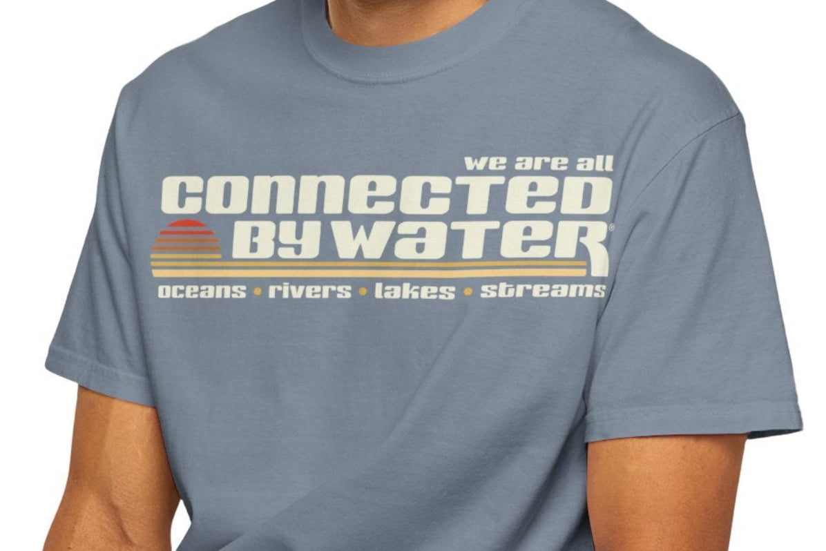 NEW Drop! Flip Side - Comfort Colors Tee