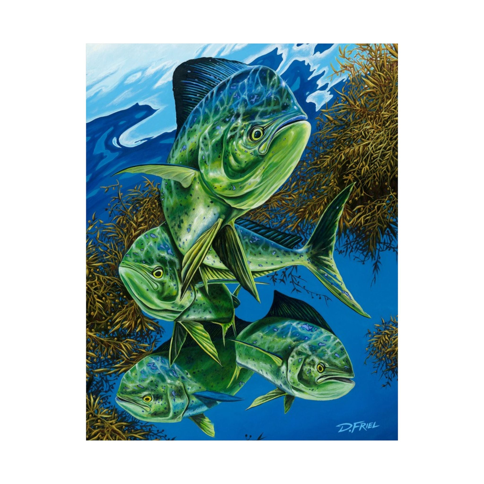Papito (Mahi) - Unframed Satin Poster