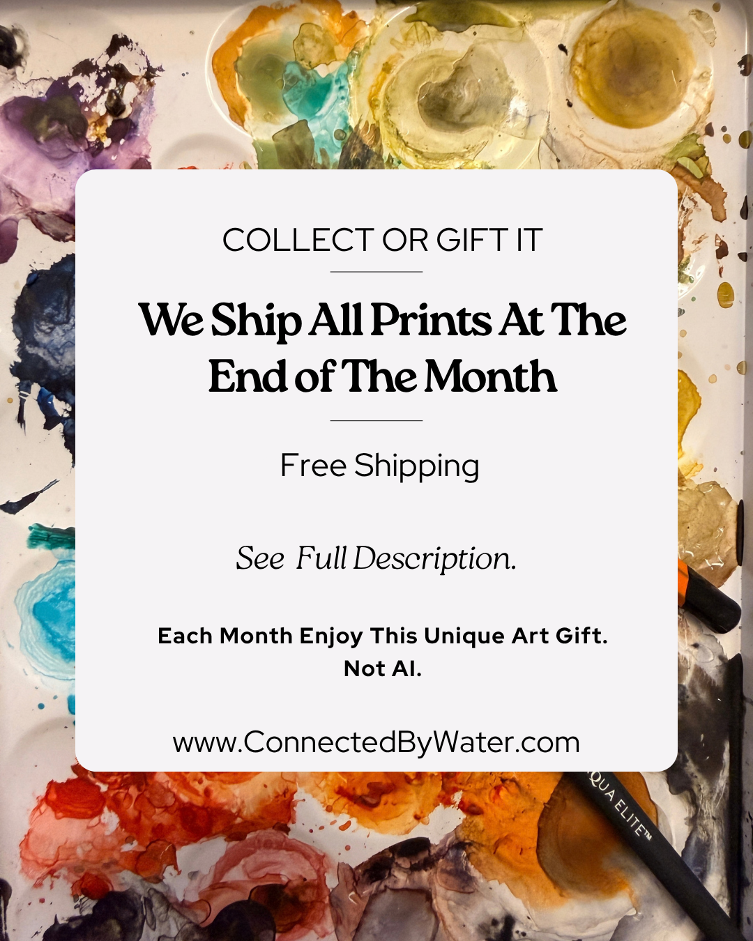 ORDER HERE - OCTOBER - Southern Cross Sailfish Art - Subscribe by the 19th