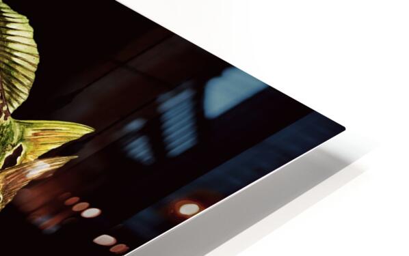 2497824 :: HD Sublimation Metal Print