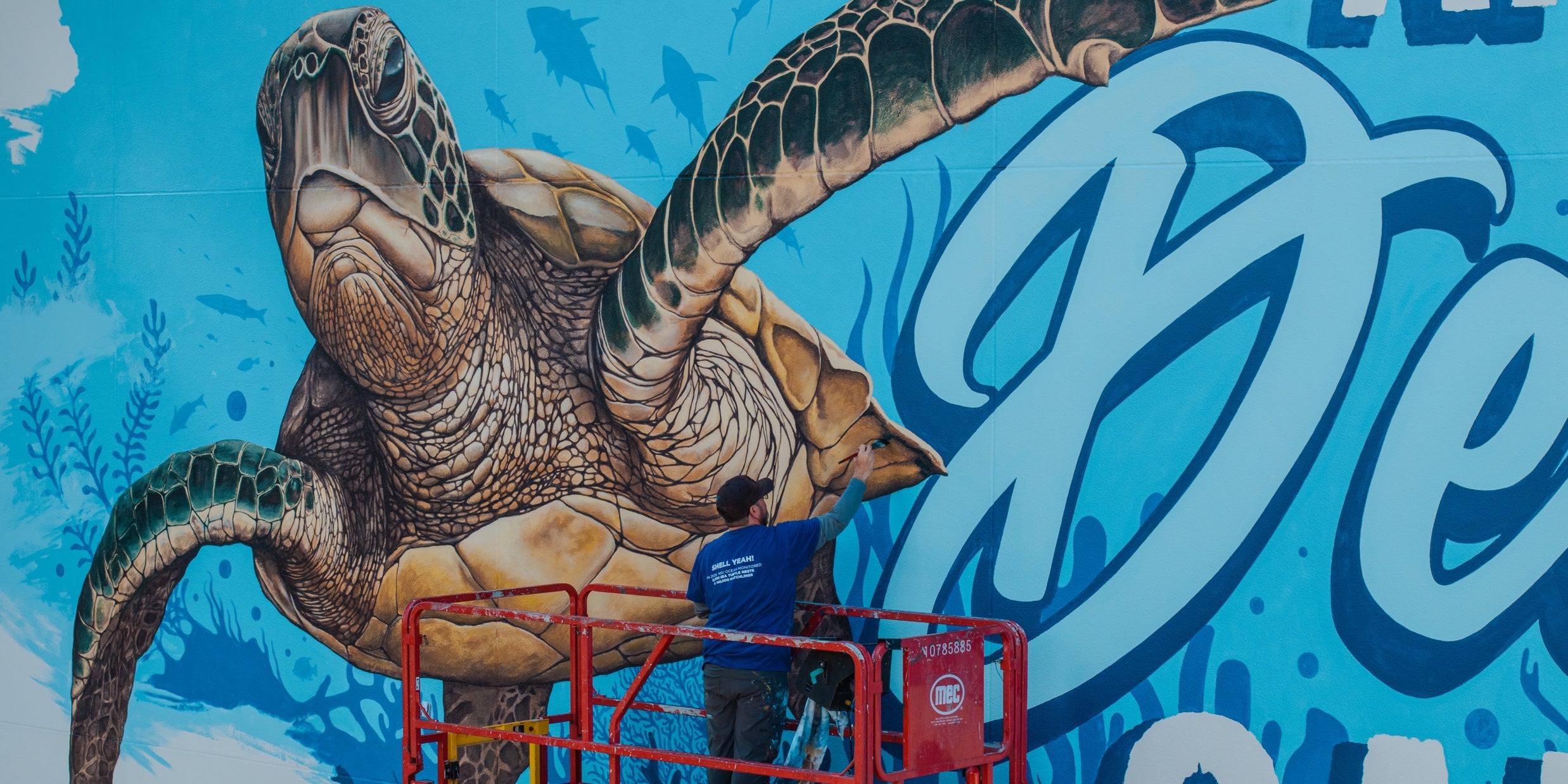 D.FRIEL SIGNATURE ART COLLECTION