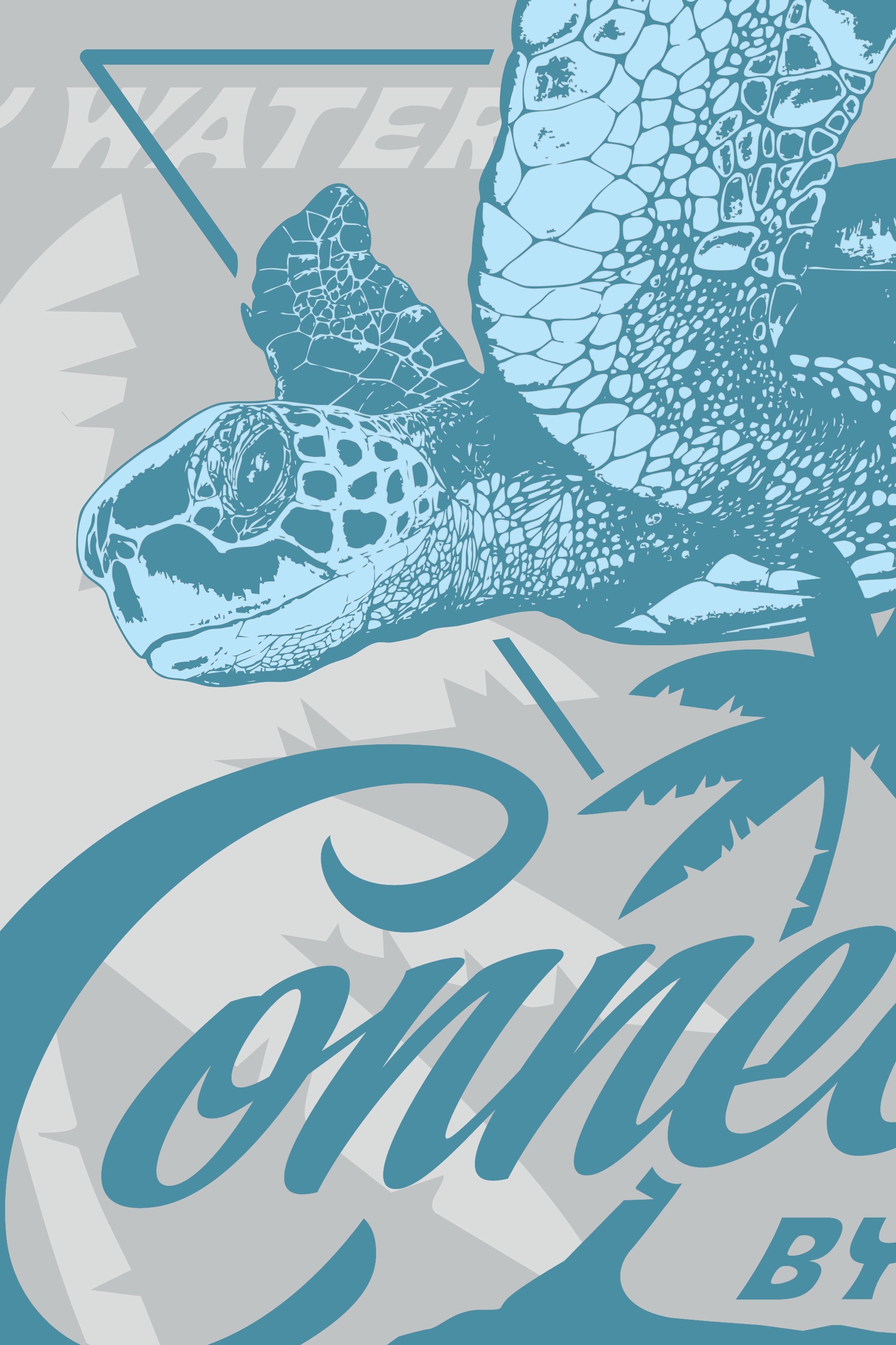 PALM BEACH COLLECTION