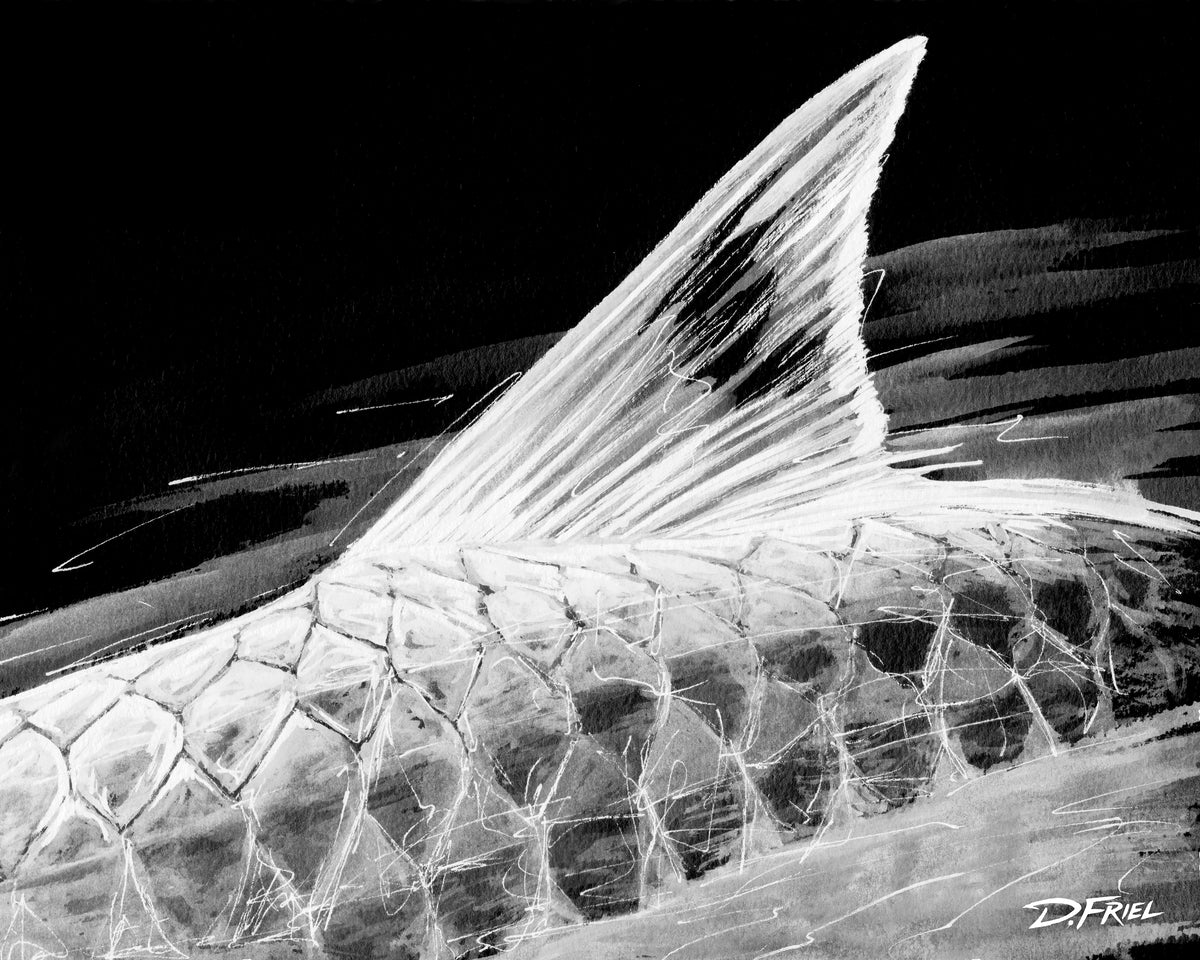 853985 :: Giclée Poster Satin Photo Paper Print