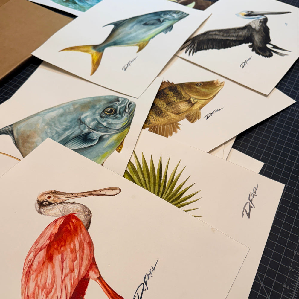 D.Friel Art Original Studies on Paper