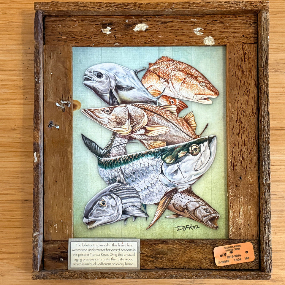 D.Friel Islamorada Art