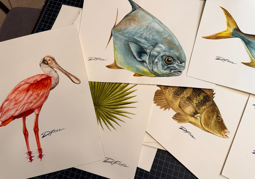  Original Watercolor Studies by D.Friel 2026