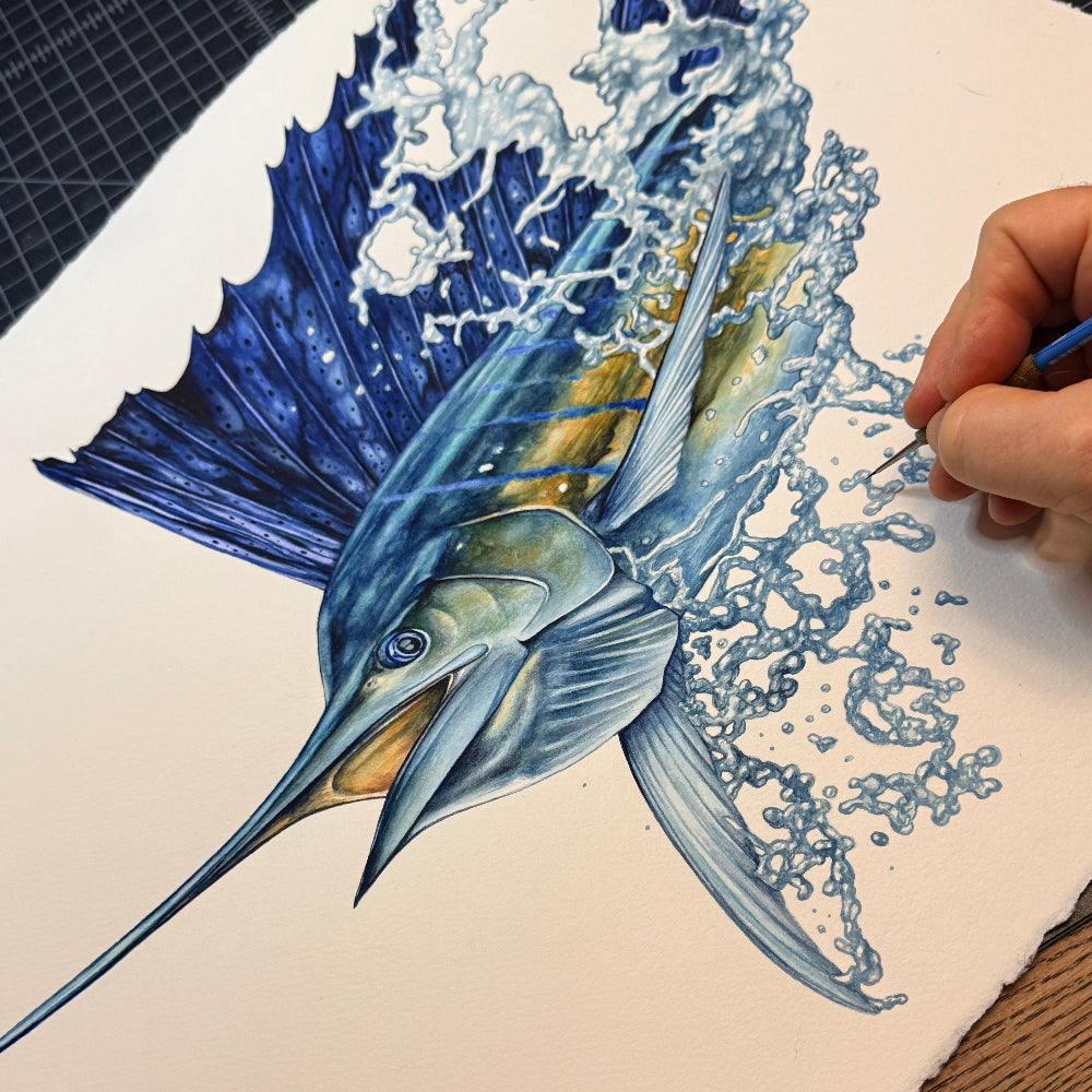 D.Friel - Southern Cross Sailfish 2026
