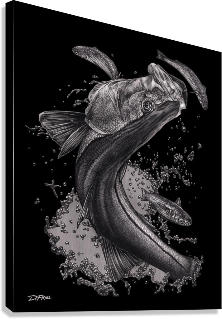 Silver Snook Art Print – ConnectedByWater.com