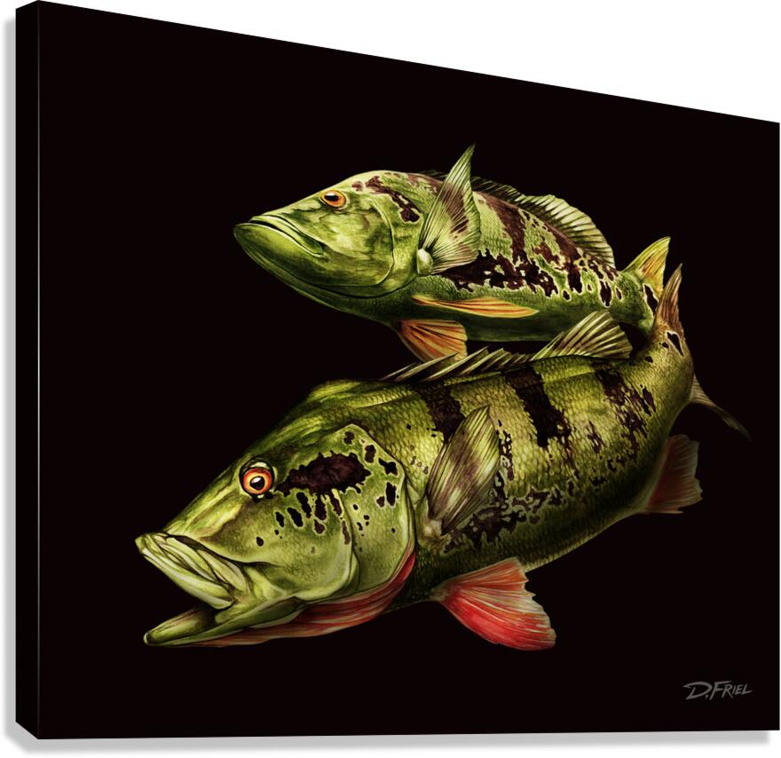 2497824 :: Giclée Stretched Canvas Print