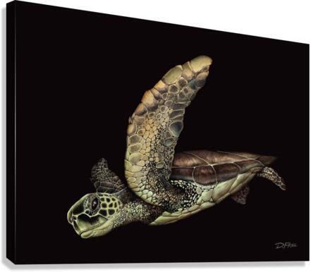 821605 :: Giclée Stretched Canvas Print