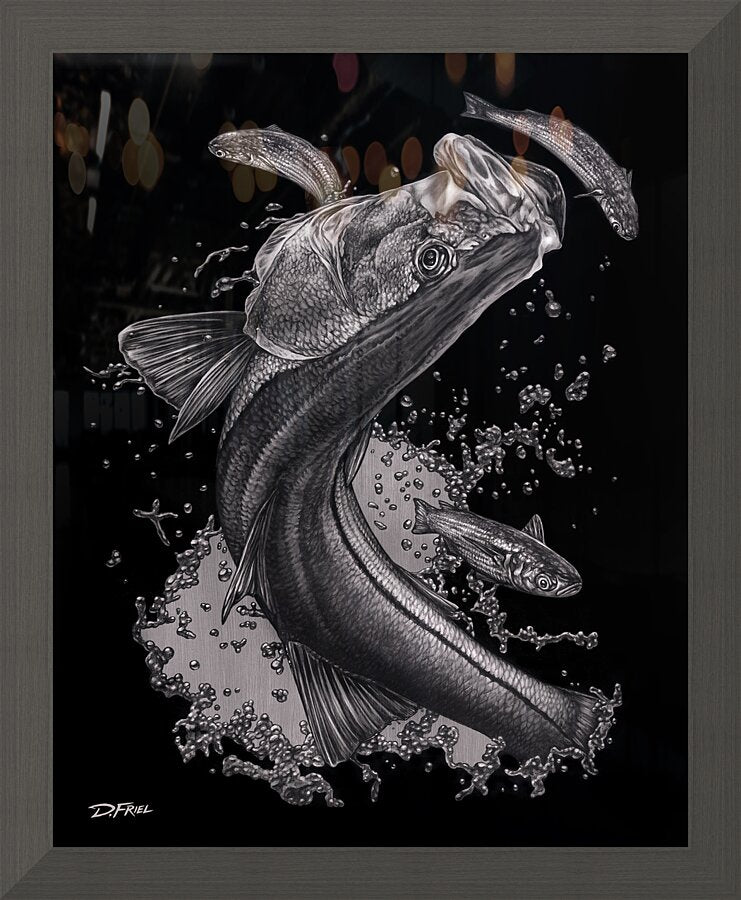 Silver Snook Art Print
