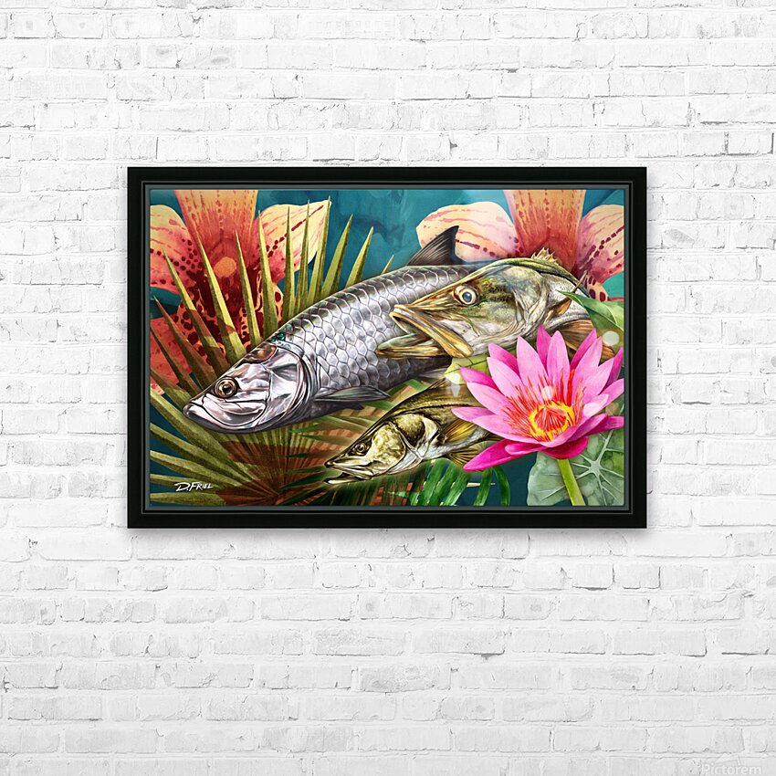 Palm Aire Series - Snook + Tarpon