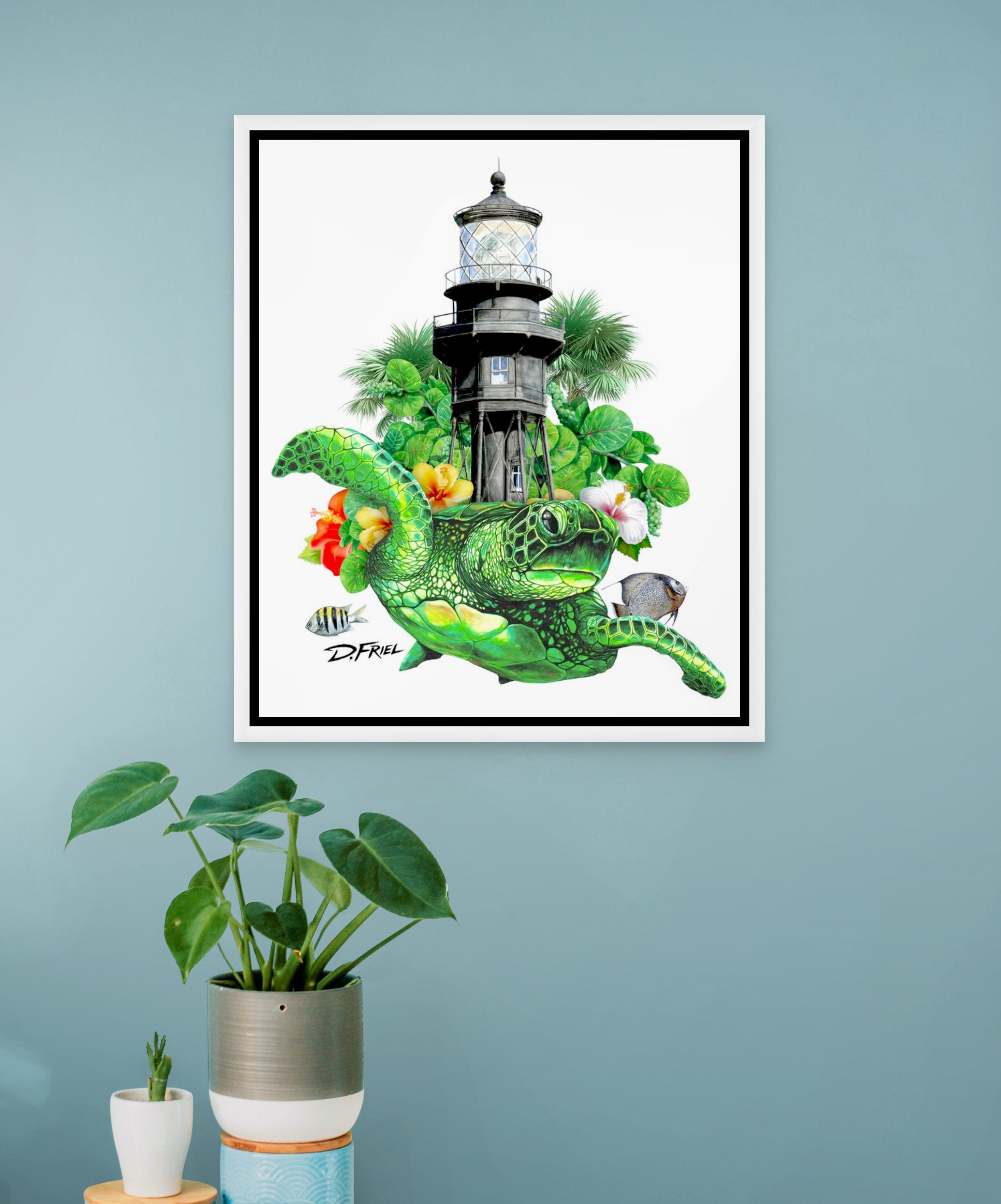 Hillsboro Lighthouse Turtle