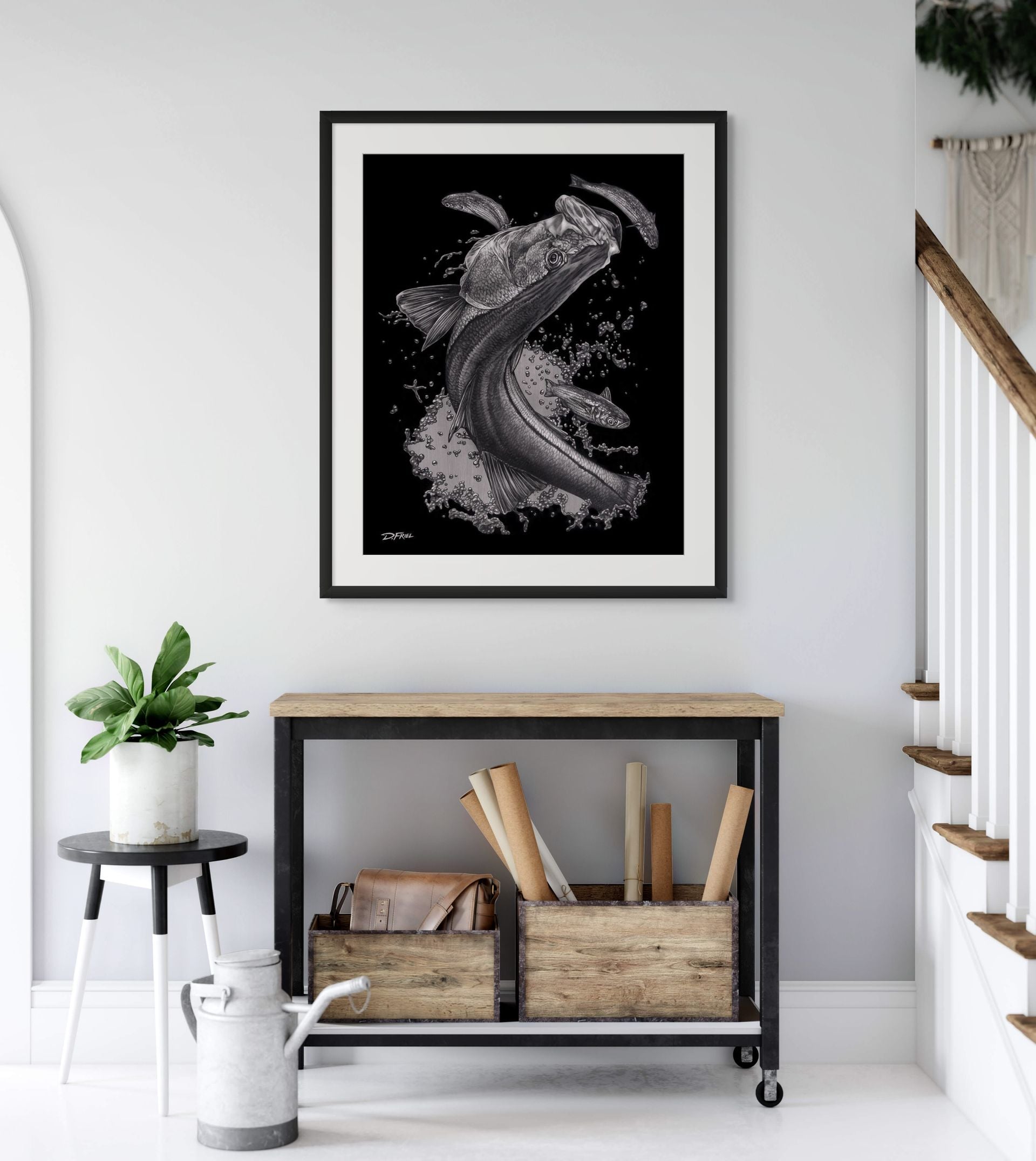 Silver Snook Art Print