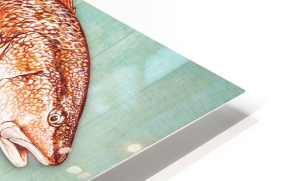 825012 :: HD Sublimation Metal Print